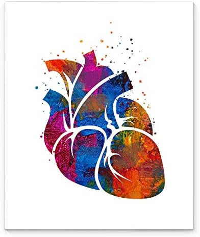 אמנות קיר אנטומיה רפואית לב אנושי, 11 על 14 אינץ ' מוכן למסגרת הדפס בסגנון צבעי מים מופשט, אידיאלי עבור קרדיולוגים, רופאים, אנשי מקצוע רפואיים, מרפאת דסקור או אמנות משרד רפואי