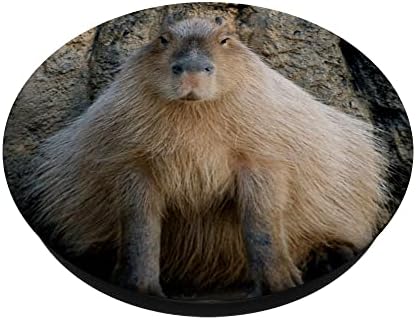 Popgrip Capybara Popsockets