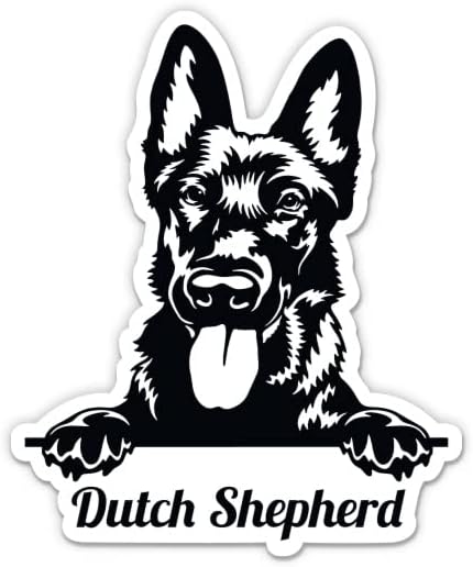 מדבקת כלבים רועה הולנדית - מדבקת מחשב נייד 3 אינץ ' - ויניל אטום למים לרכב, טלפון, בקבוק מים - מדבקות רועה הולנדי